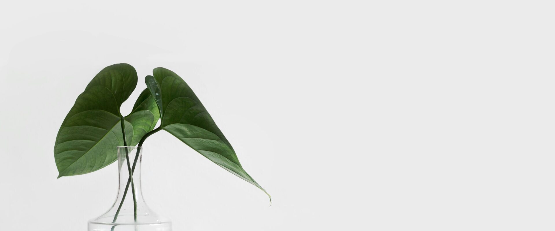 Hello World Featured Image