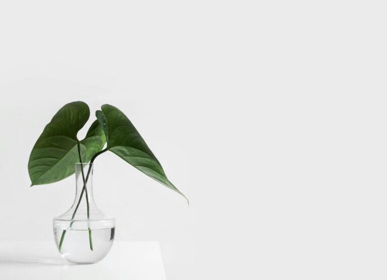 Hello World Featured Image